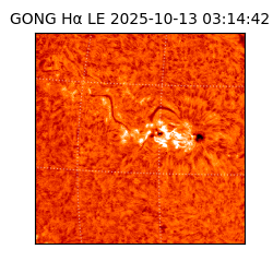 gong - 2025-10-13T03:14:42