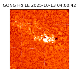 gong - 2025-10-13T04:00:42