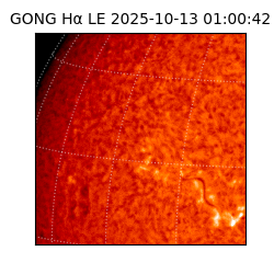 gong - 2025-10-13T01:00:42