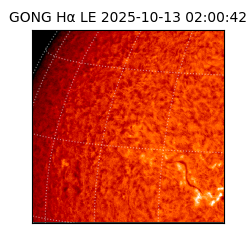 gong - 2025-10-13T02:00:42