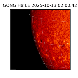 gong - 2025-10-13T02:00:42