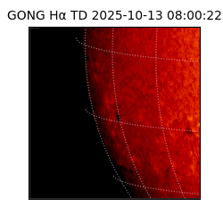 gong - 2025-10-13T08:00:22