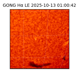 gong - 2025-10-13T01:00:42