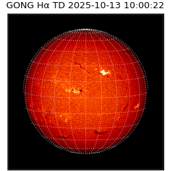 gong - 2025-10-13T10:00:22