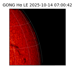 gong - 2025-10-14T07:00:42