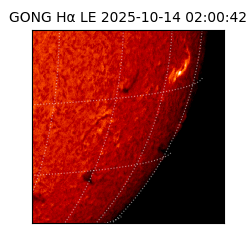 gong - 2025-10-14T02:00:42