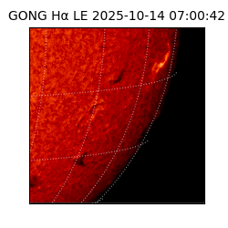 gong - 2025-10-14T07:00:42