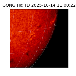 gong - 2025-10-14T11:00:22