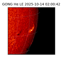 gong - 2025-10-14T02:00:42