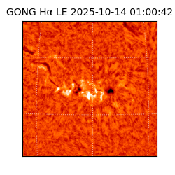 gong - 2025-10-14T01:00:42