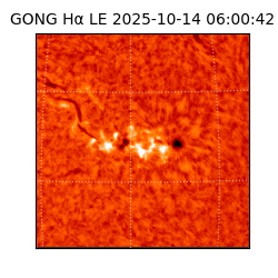 gong - 2025-10-14T06:00:42