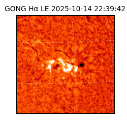 gong - 2025-10-14T22:39:42