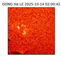 gong - 2025-10-14T02:00:42