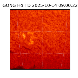 gong - 2025-10-14T09:00:22