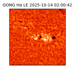 gong - 2025-10-14T02:00:42