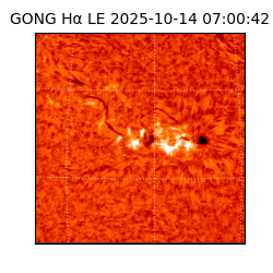 gong - 2025-10-14T07:00:42