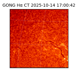 gong - 2025-10-14T17:00:42