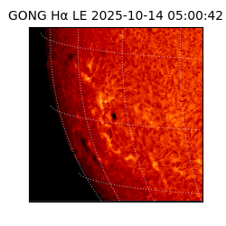 gong - 2025-10-14T05:00:42