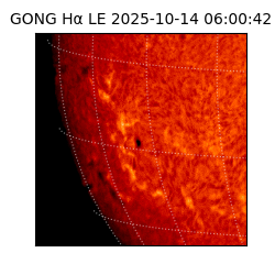 gong - 2025-10-14T06:00:42