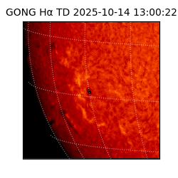 gong - 2025-10-14T13:00:22