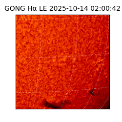 gong - 2025-10-14T02:00:42