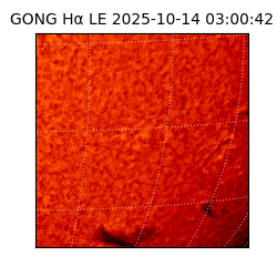 gong - 2025-10-14T03:00:42