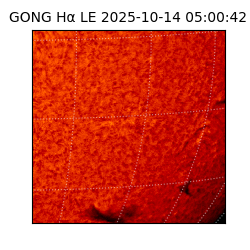 gong - 2025-10-14T05:00:42
