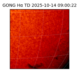 gong - 2025-10-14T09:00:22