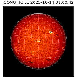 gong - 2025-10-14T01:00:42
