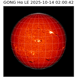 gong - 2025-10-14T02:00:42