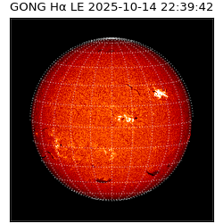 gong - 2025-10-14T22:39:42