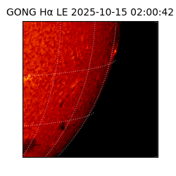 gong - 2025-10-15T02:00:42