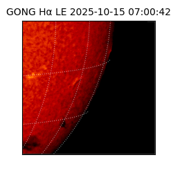 gong - 2025-10-15T07:00:42