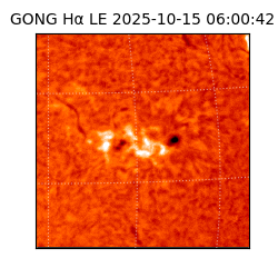 gong - 2025-10-15T06:00:42