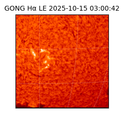 gong - 2025-10-15T03:00:42