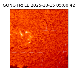 gong - 2025-10-15T05:00:42