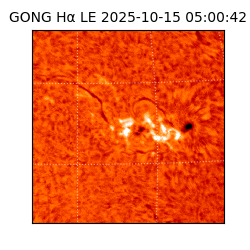 gong - 2025-10-15T05:00:42