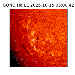 gong - 2025-10-15T03:00:42