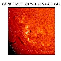 gong - 2025-10-15T04:00:42