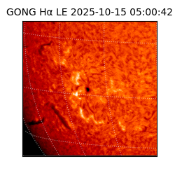 gong - 2025-10-15T05:00:42