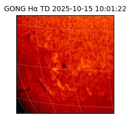 gong - 2025-10-15T10:01:22
