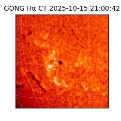 gong - 2025-10-15T21:00:42