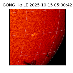 gong - 2025-10-15T05:00:42