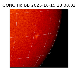 gong - 2025-10-15T23:00:02