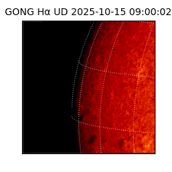 gong - 2025-10-15T09:00:02