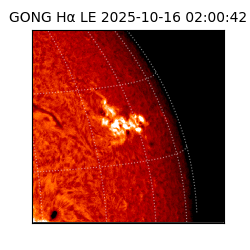 gong - 2025-10-16T02:00:42