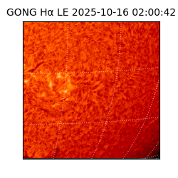 gong - 2025-10-16T02:00:42