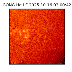 gong - 2025-10-16T03:00:42