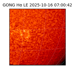 gong - 2025-10-16T07:00:42