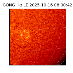 gong - 2025-10-16T08:00:42